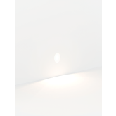 ORBIT